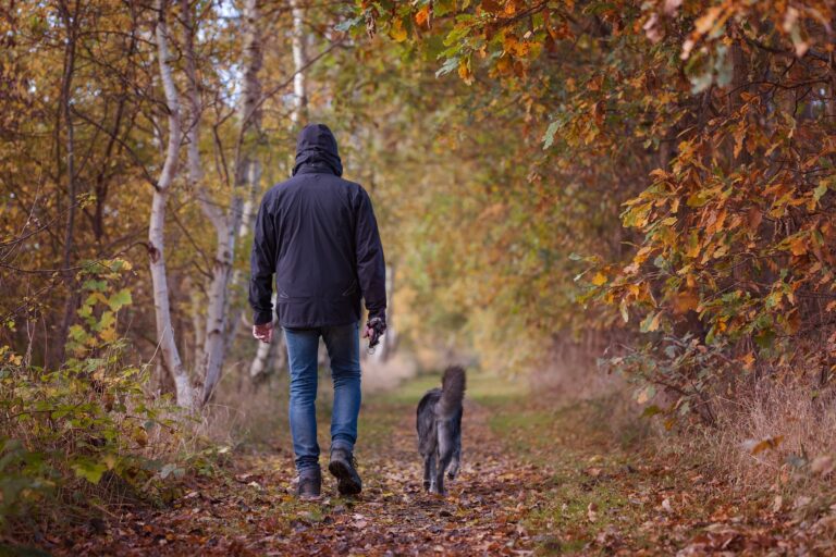 Ile razy dziennie trzeba wyprowadzać psa na spacer?